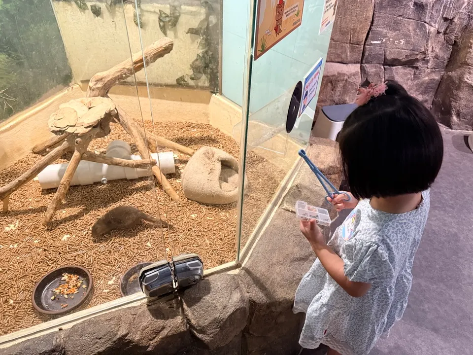 Animal area where you can see otters and rabbits