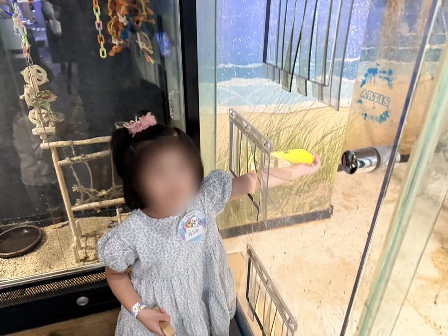 4-year-old moving ahead toward the next activity