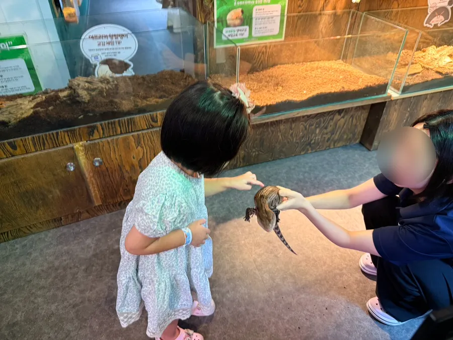 Tank with aquatic creatures including turtles and rays