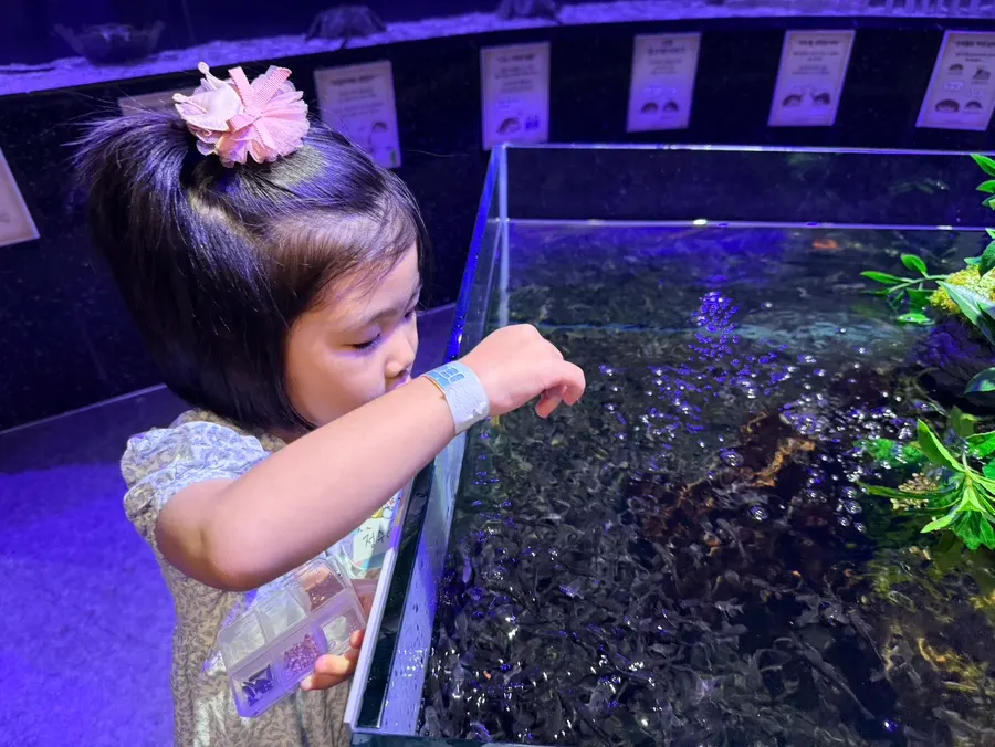 Viewing route connecting the aquarium and zoo