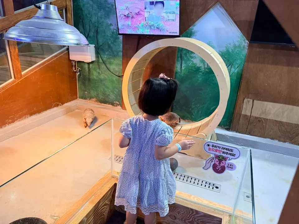 Overview of the Artis Theme Park experience space