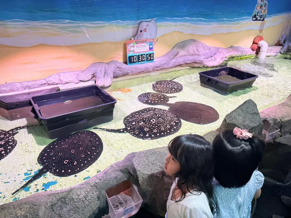 After finishing the tour at the Dongtan aquarium