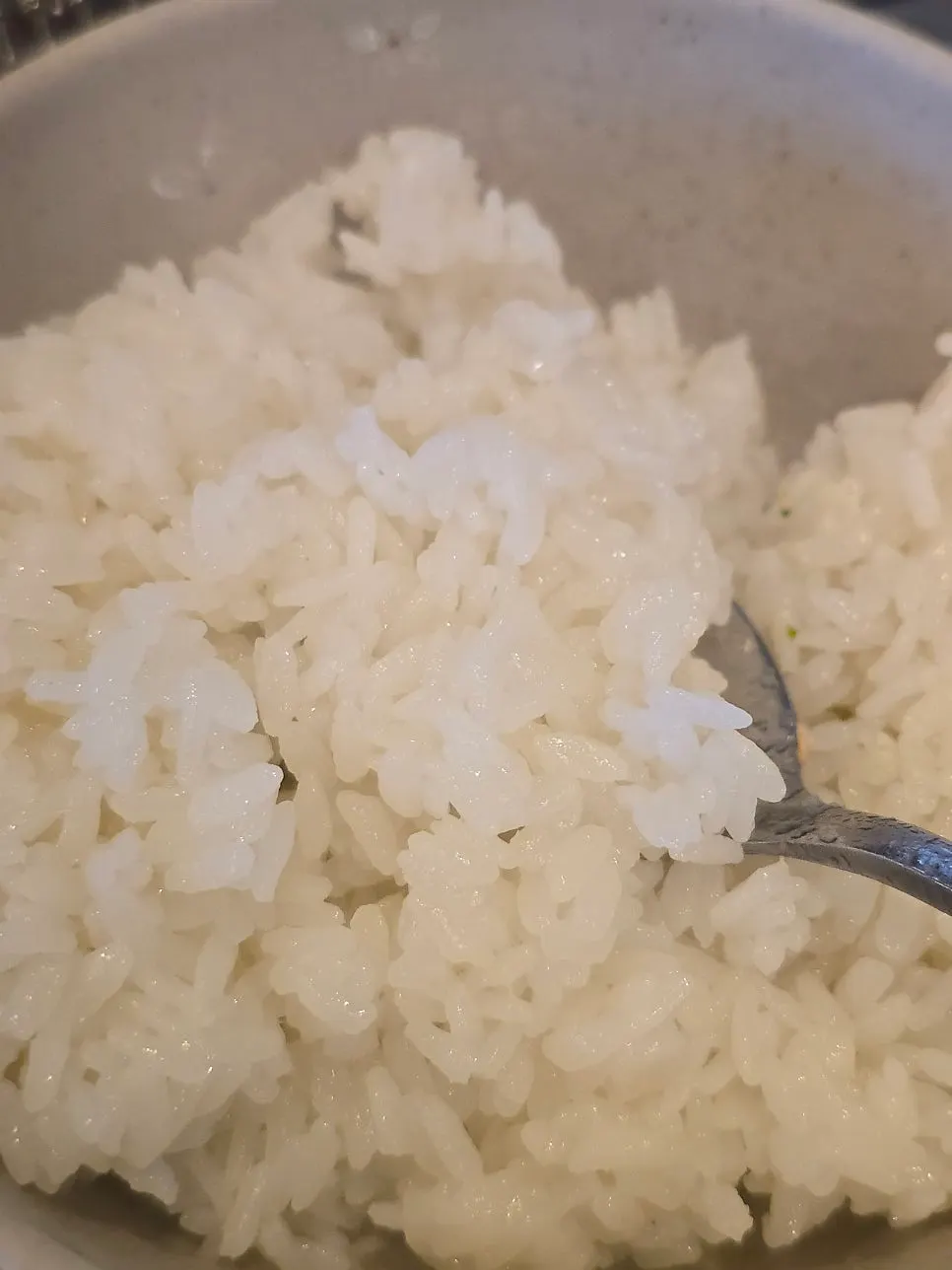 Hotpot rice served together with pork galbi
