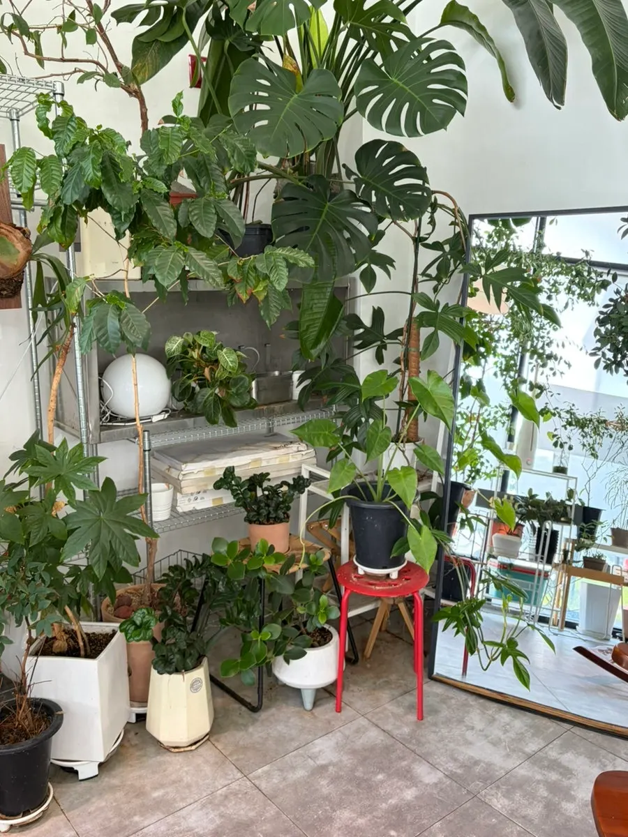 웬유바이트 브런치 두 접시 세로 사진
