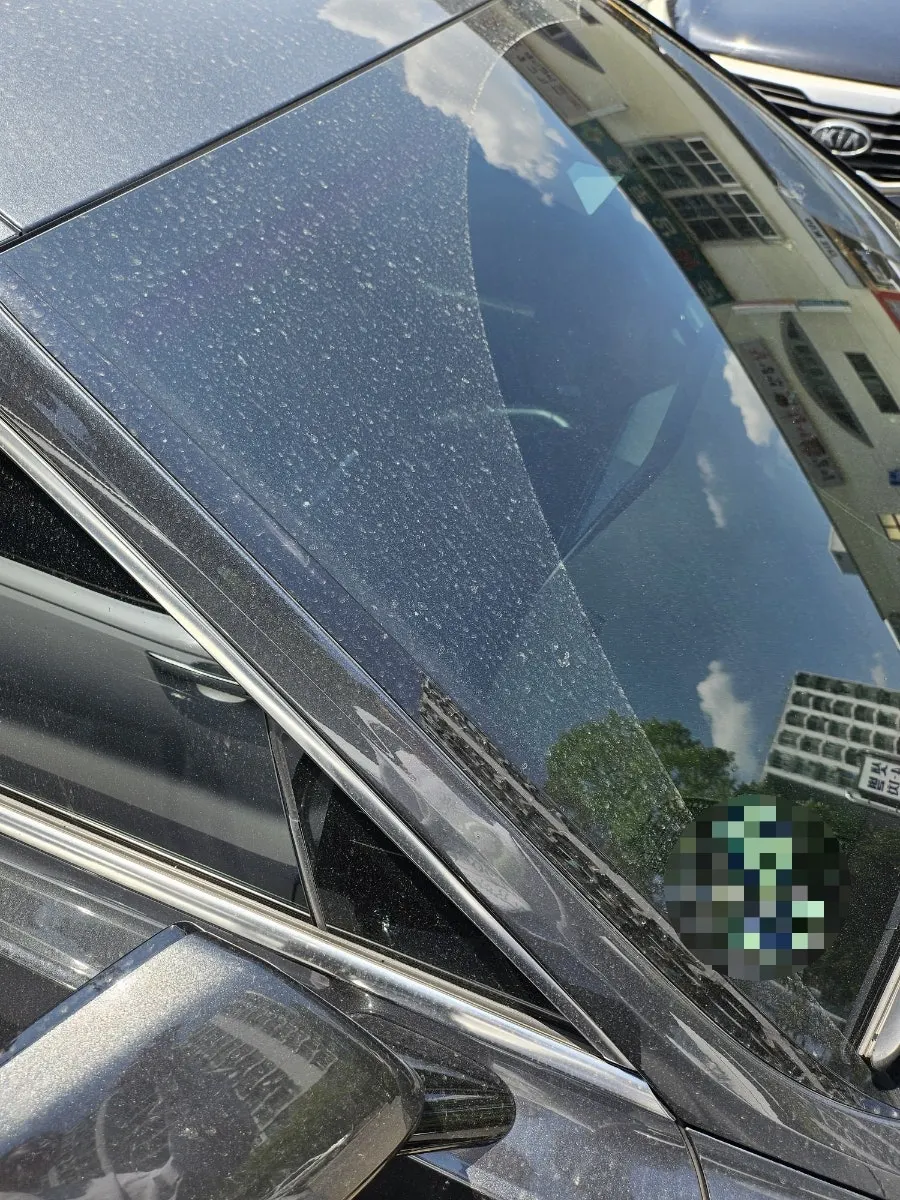 Car glass with pollen and rainwater marks