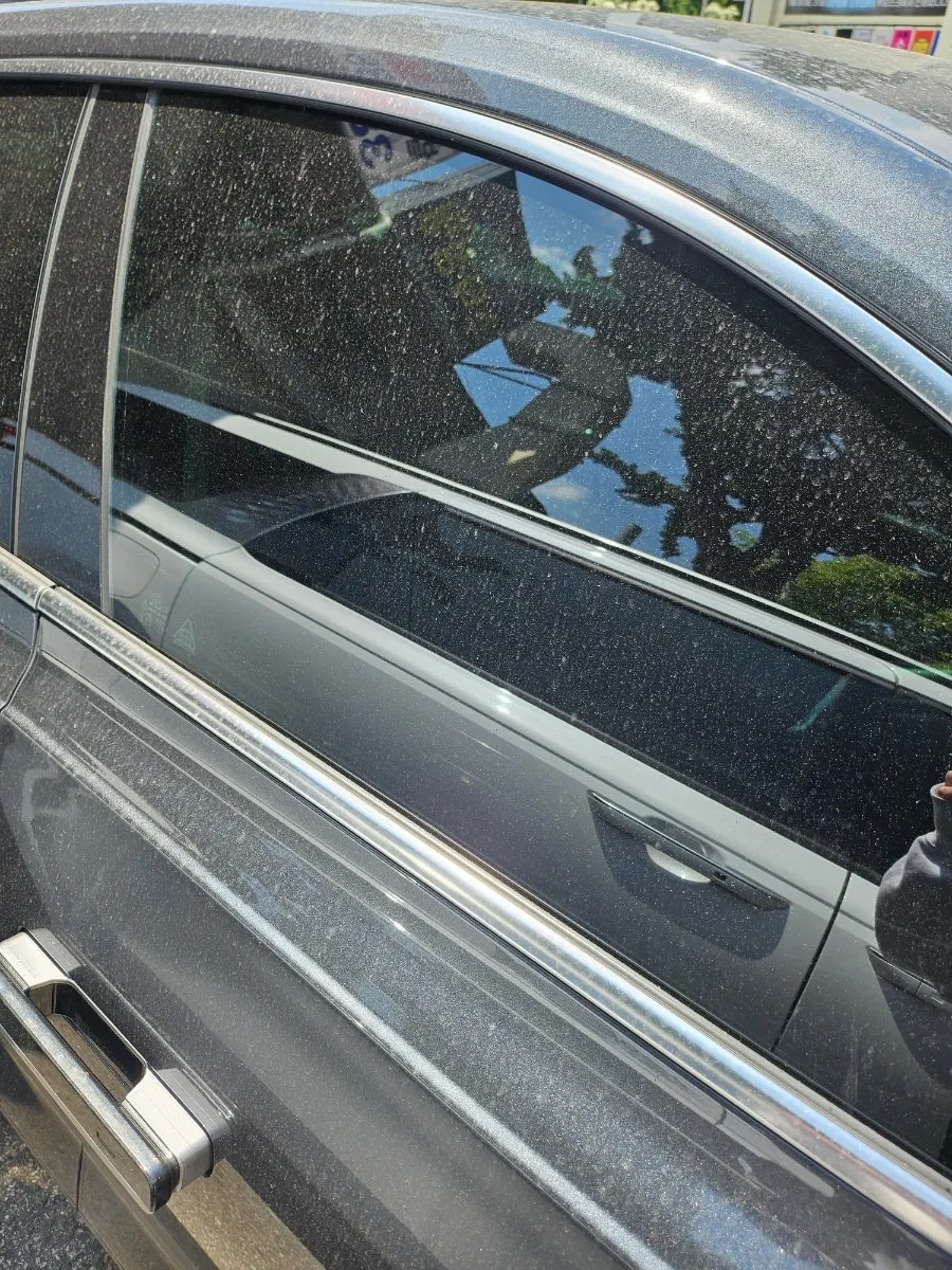 Car glass covered with pollen before washing