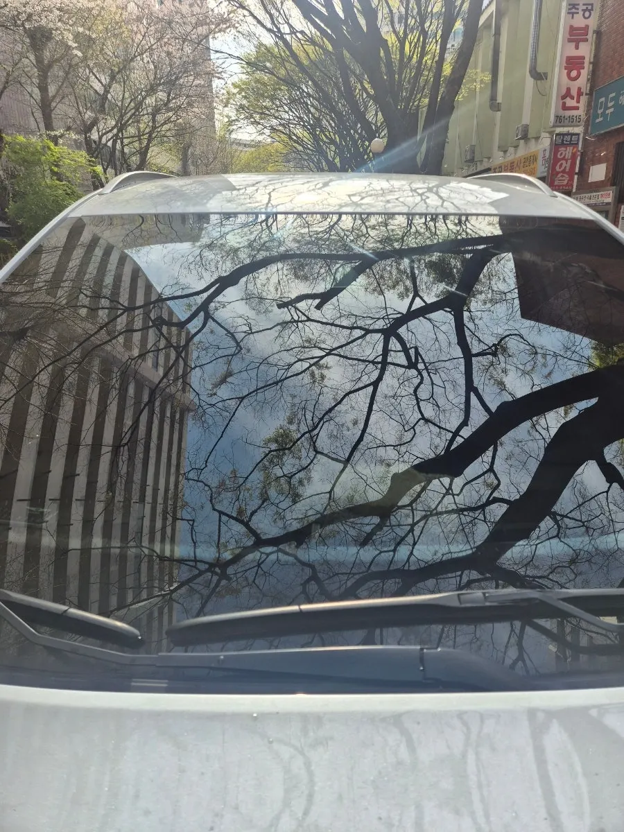 Rubbing car glass in circles with the dedicated towel