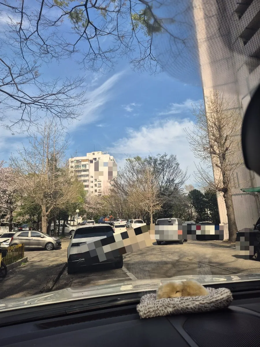 Car glass rinsed with water after oil-film removal