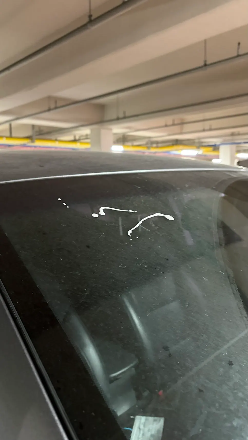 Dusty car glass before cleaning with Clean View