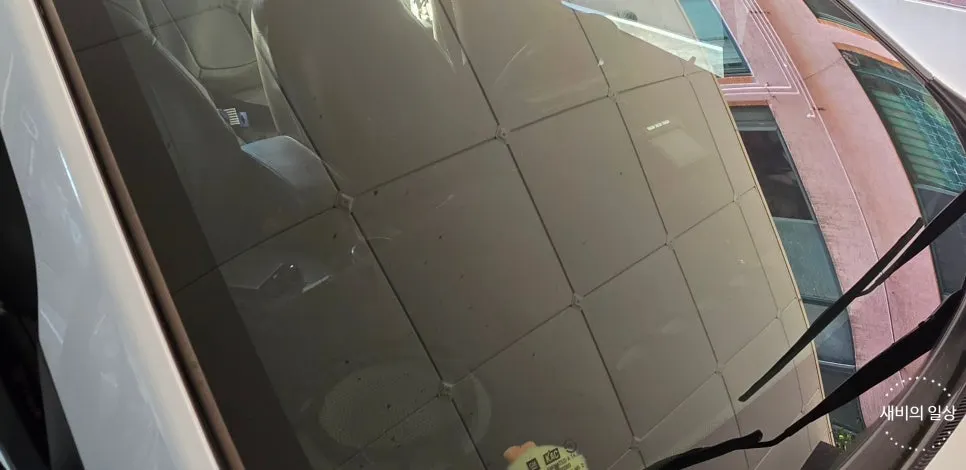 Car windshield looking clearer after oil-film removal