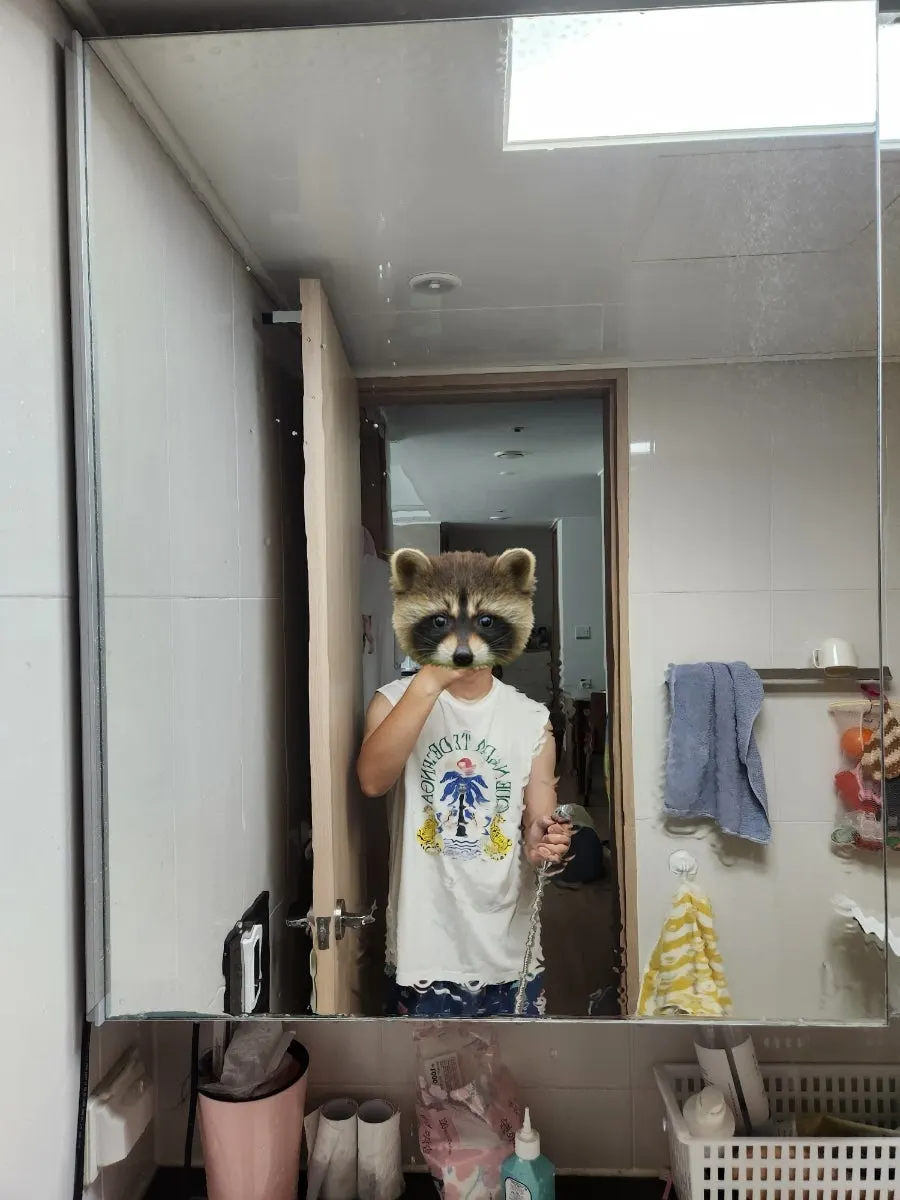 Bathroom mirror after rinsing off oil-film remover