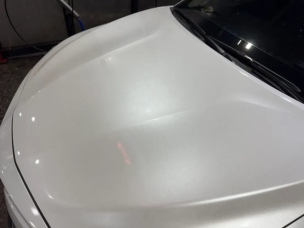 Front bumper with bug remains before washing