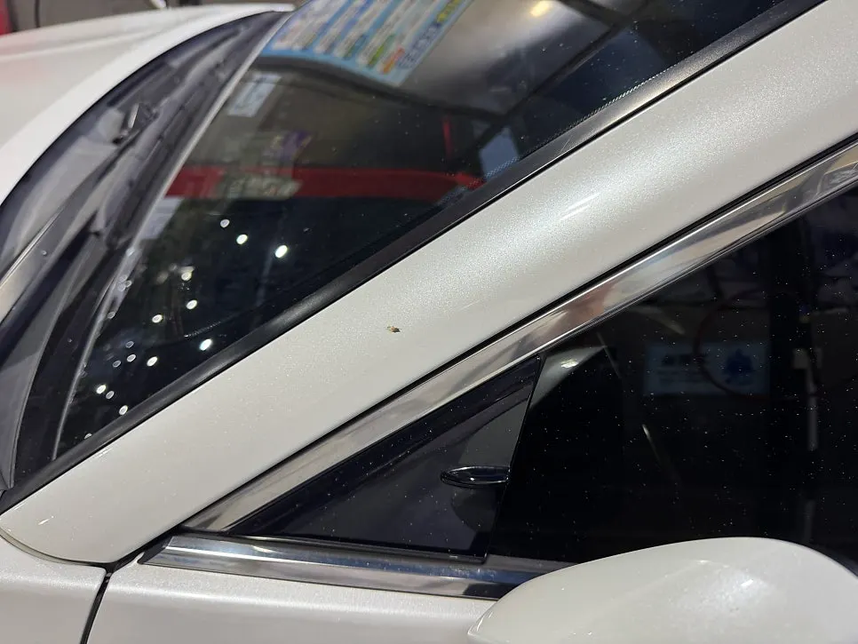 Front bumper soiled by bugs picked up while driving