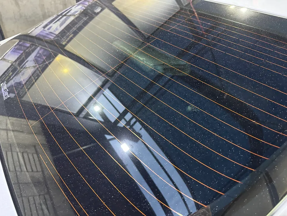 Bug grime on the hood and side of the car before washing