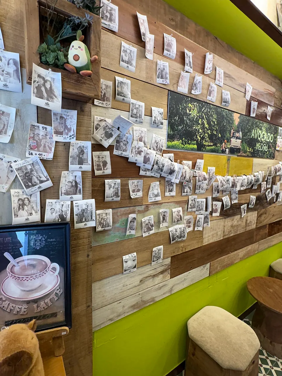 Wall covered in visitor photos at Avocado Yeosu