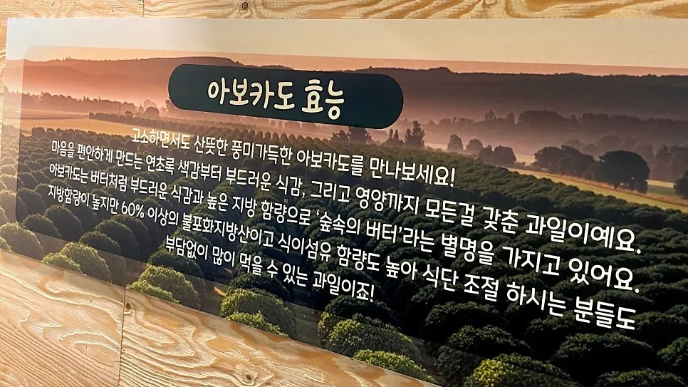 아보카도 효능 안내 이미지