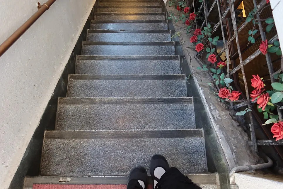 Rose decorations along the stairway down to the basement floor