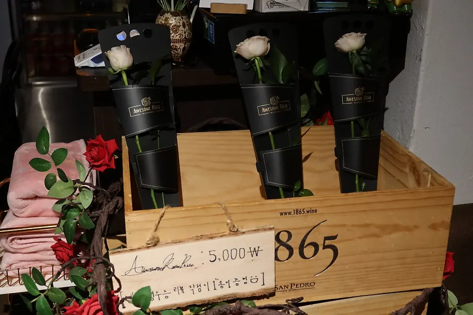 A fresh rose held in hand
