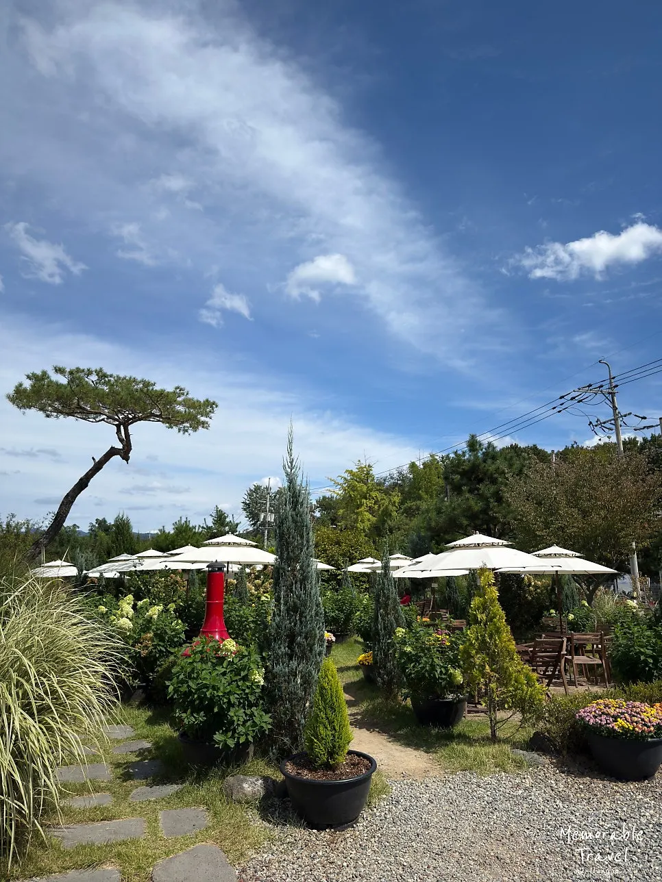 Garden in front of the café building