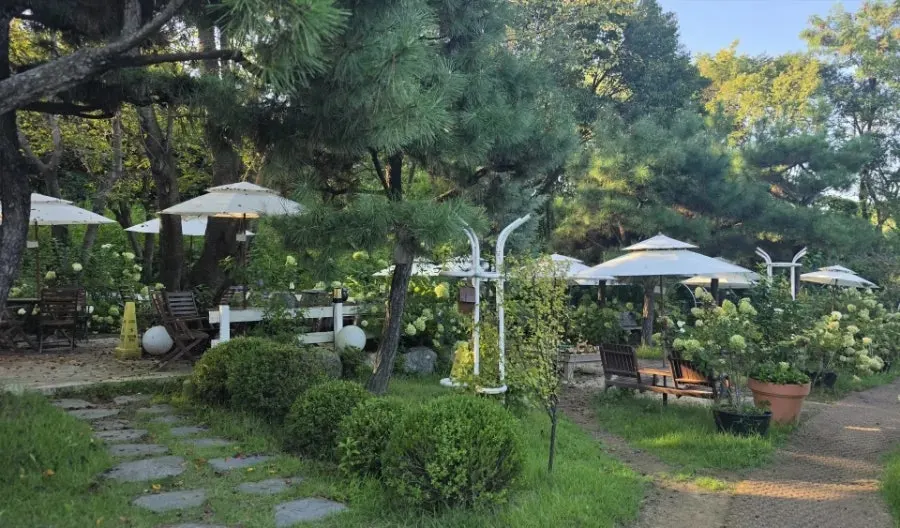 Spacious outdoor garden with parasols and tables
