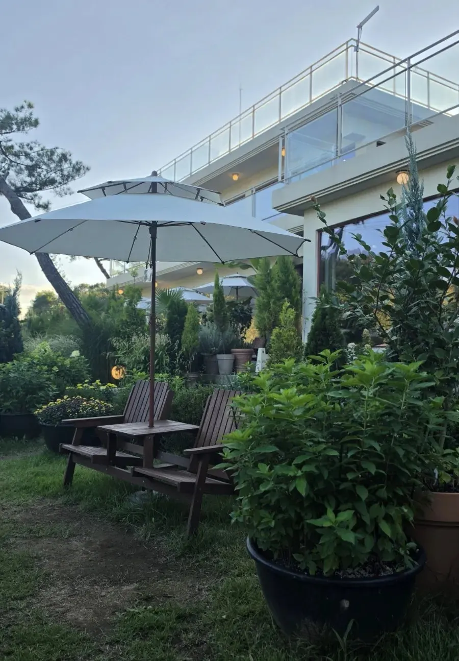 Garden path with green scenery in view