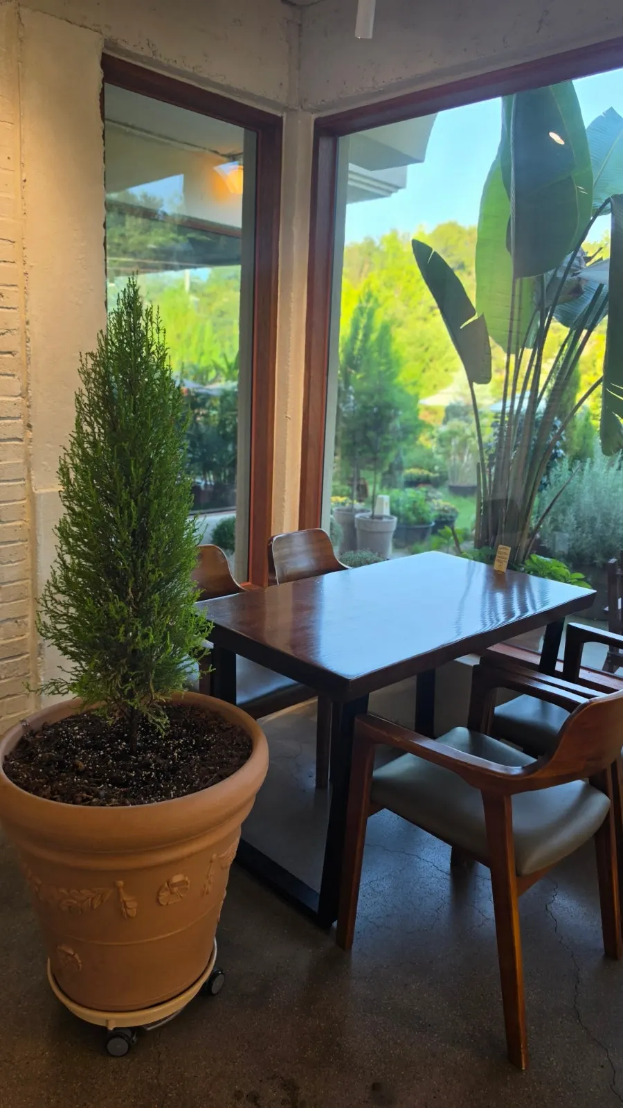 Indoor seats with a view of the garden through large windows