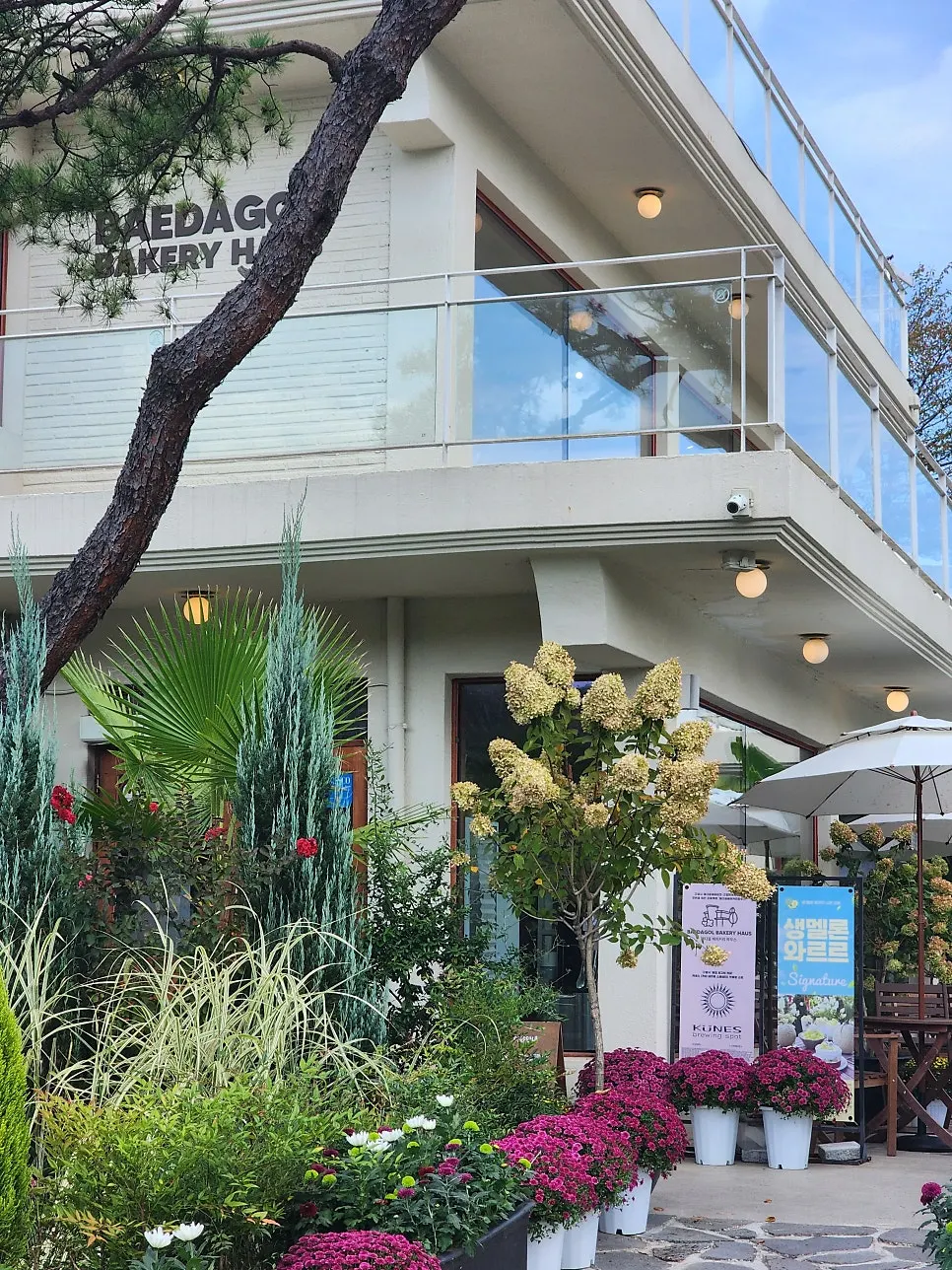 Exterior and entrance of Baedagol Bakery House