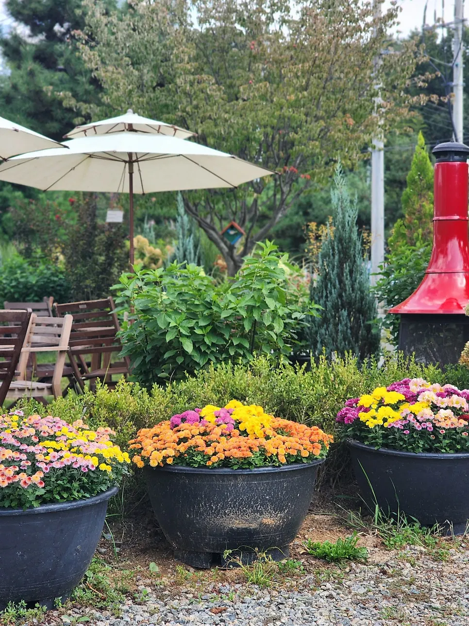 Outdoor garden seating with blooming chrysanthemums at Baedagol Bakery House