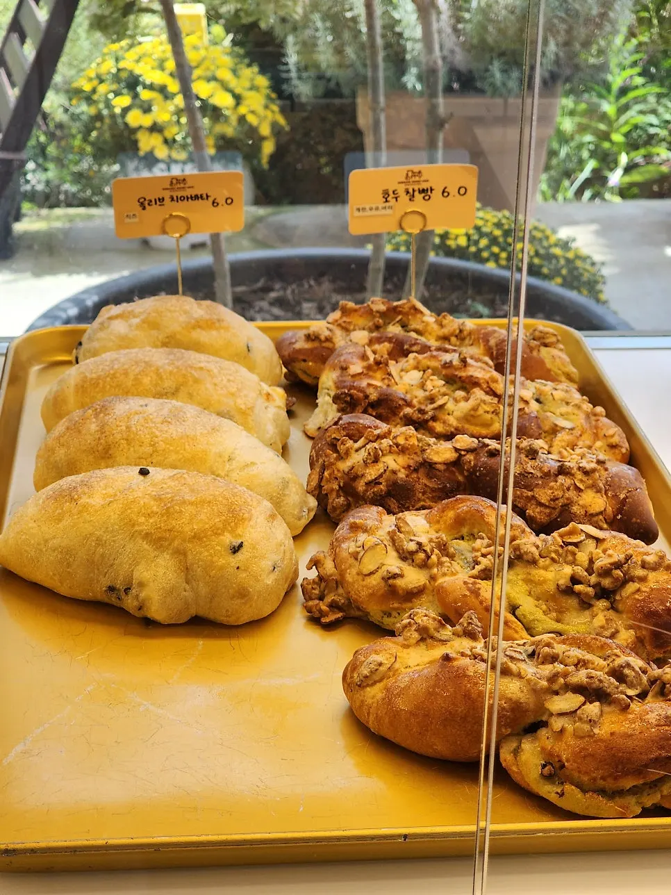 Cakes and desserts in the refrigerated showcase