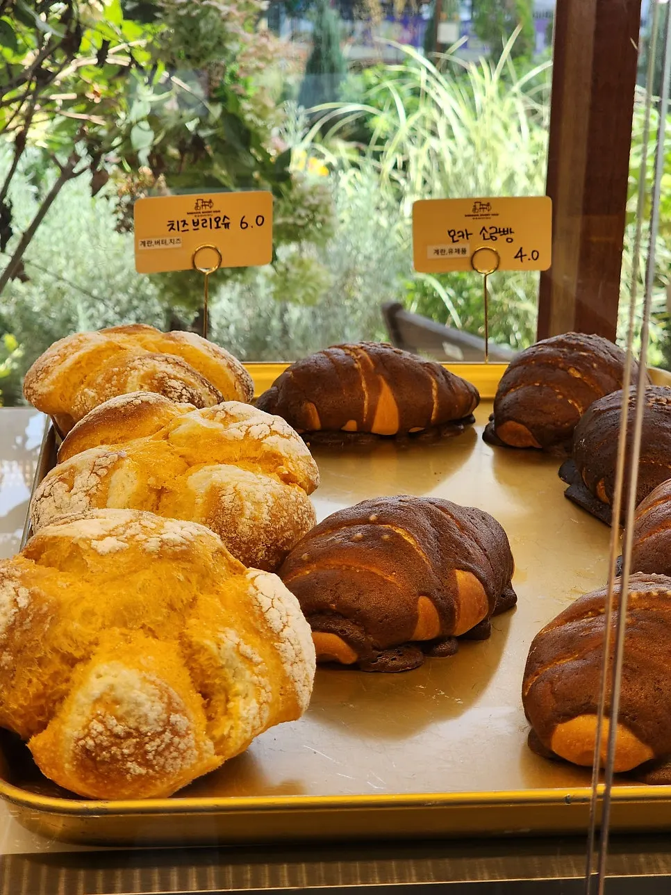 Bakery display space inside the store