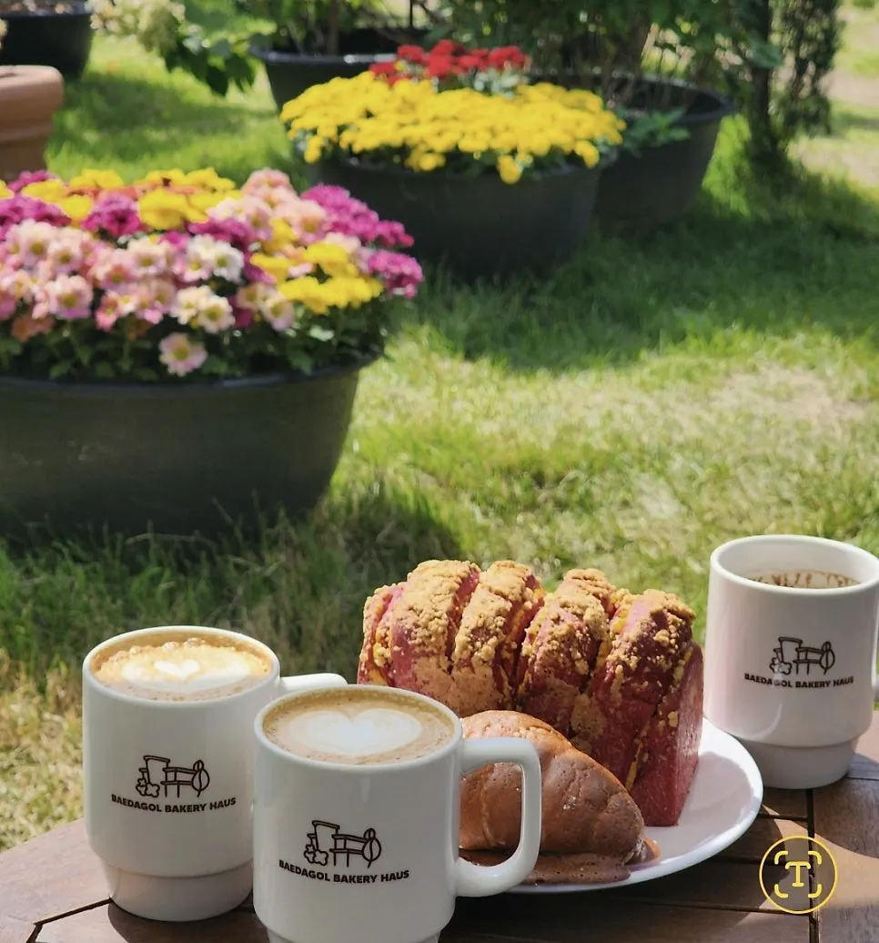 Drinks placed on a garden table