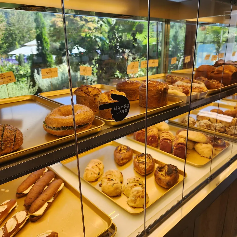 Bread displayed in a glass showcase