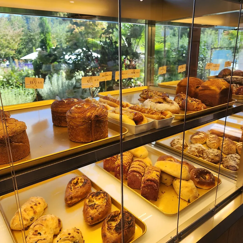 Display case with salt bread and croissants