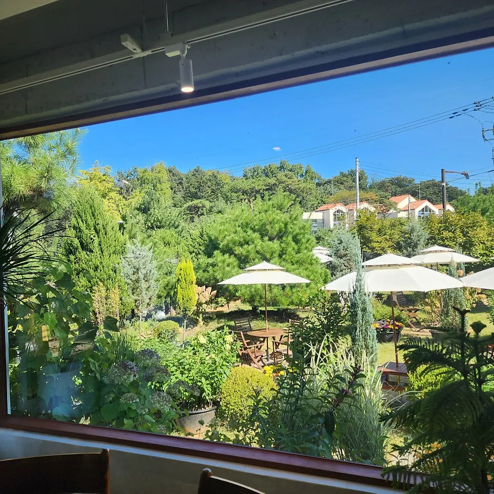 Green garden view through the first-floor window