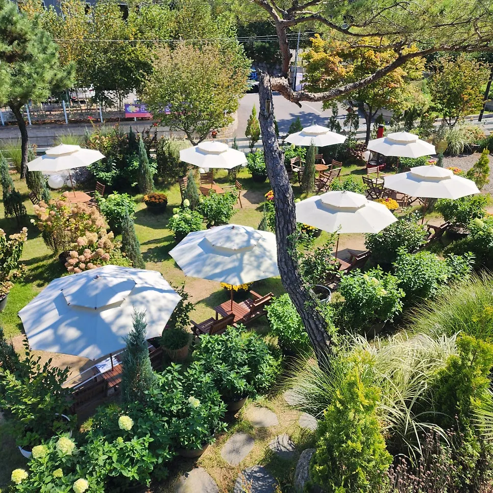 Autumn garden and outdoor café scenery