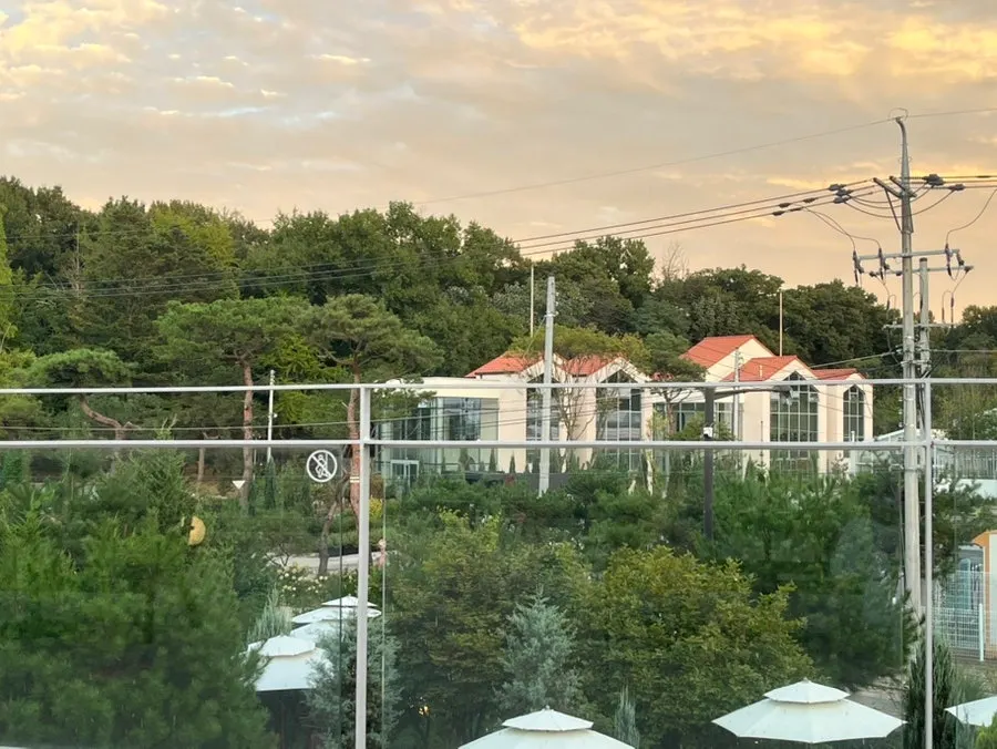 2층 테라스에서 본 정원 풍경