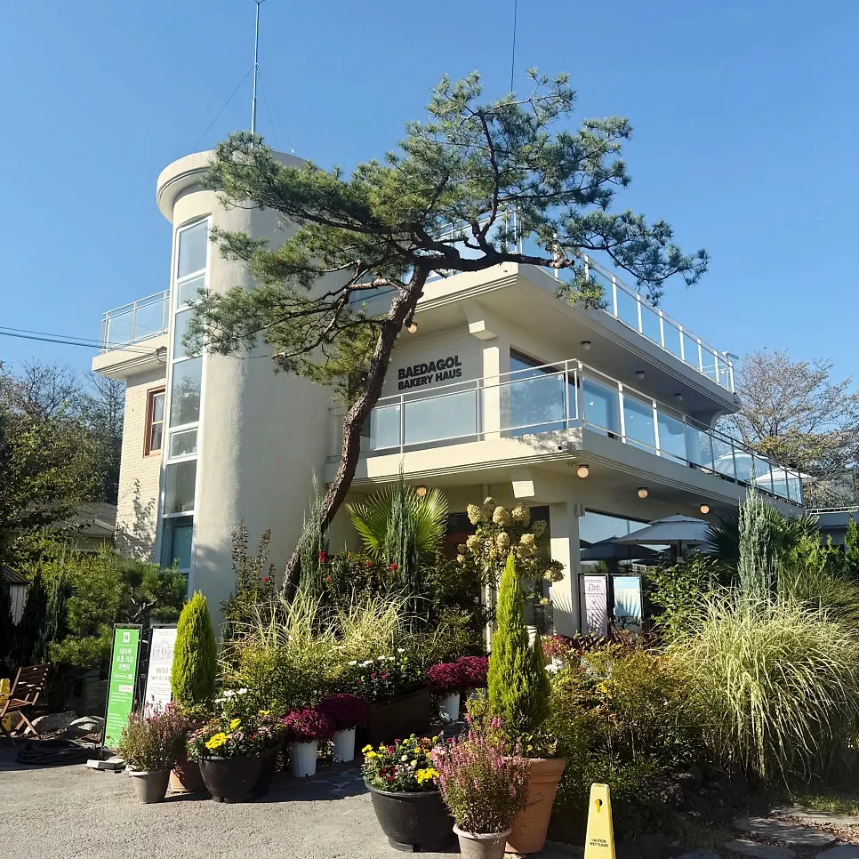 View of the old two-story house and garden together