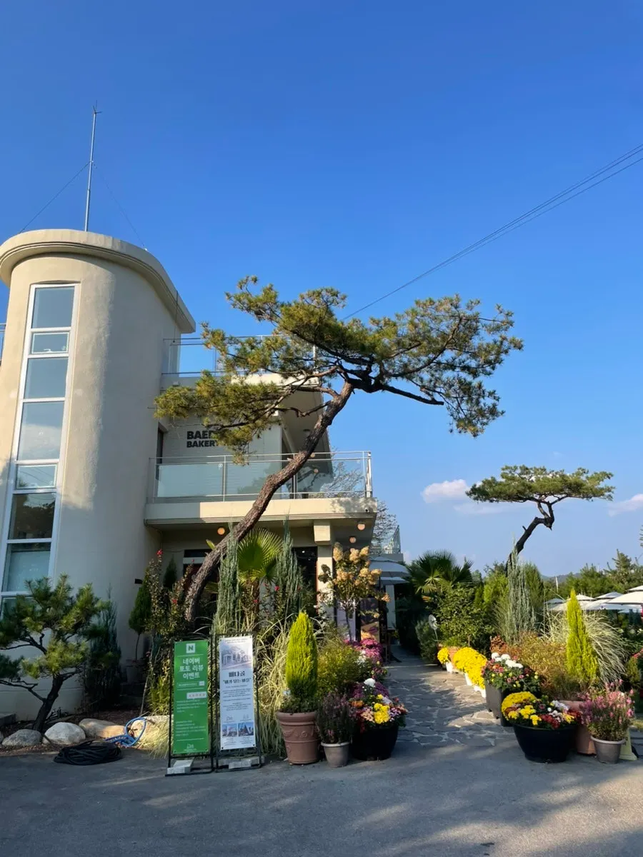 入口から見えるベダゴルベーカリーハウスの庭園ビュー