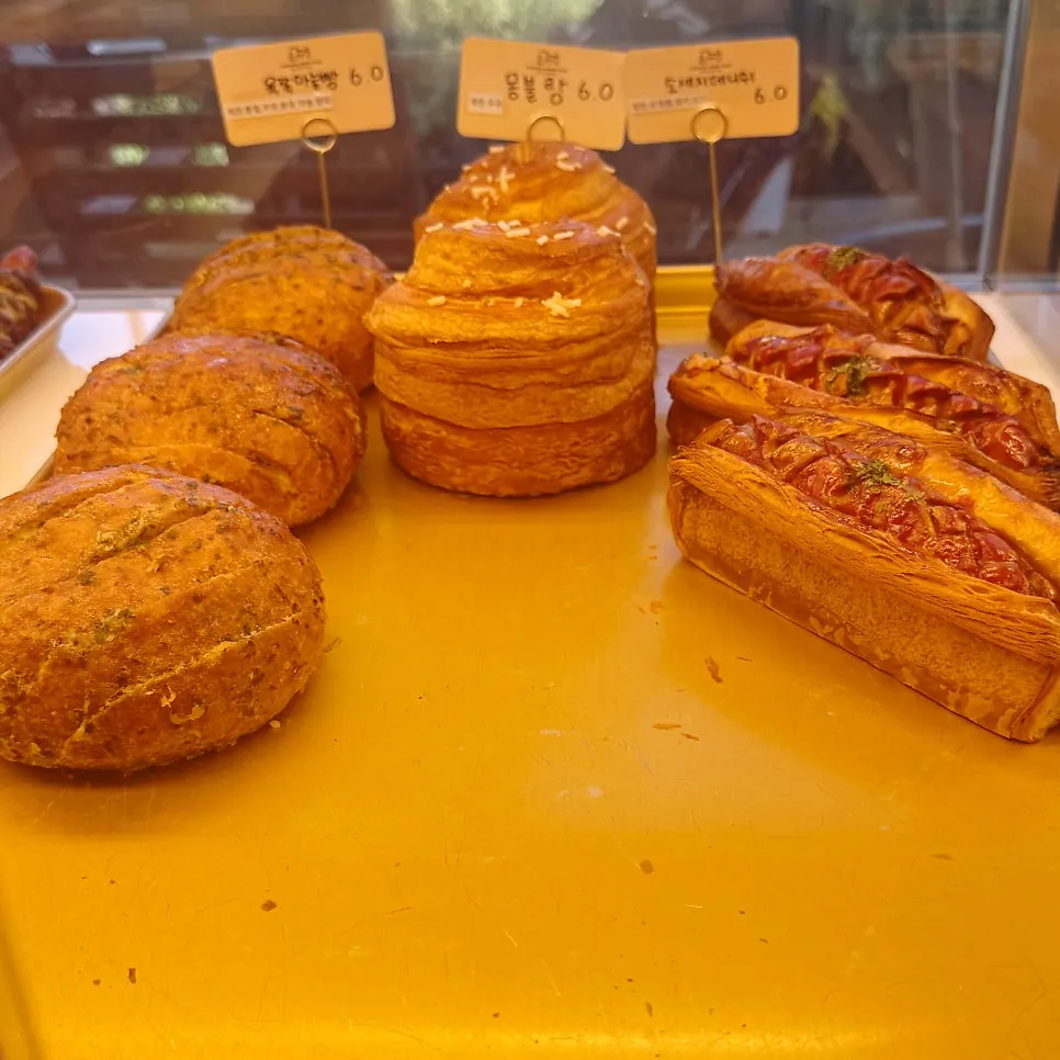 Display case with a wide variety of breads
