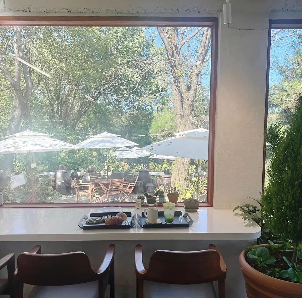 Sunny seat by the floor-to-ceiling window with a plate of bread