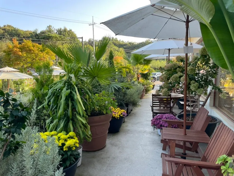 樹木園のようなカフェ庭園の風景