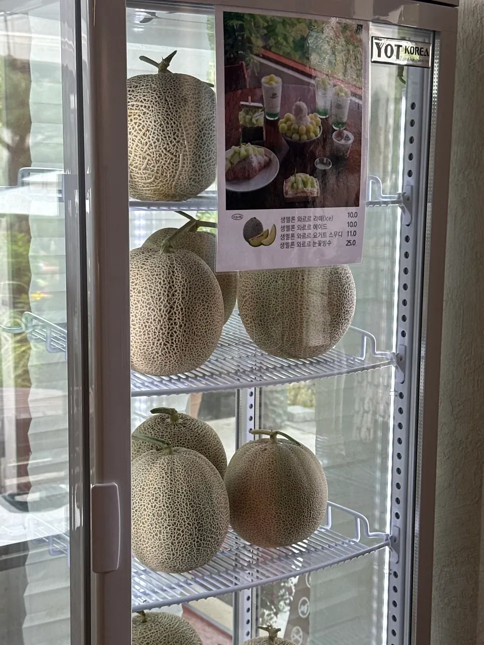 배다골베이커리하우스 정원 산책로