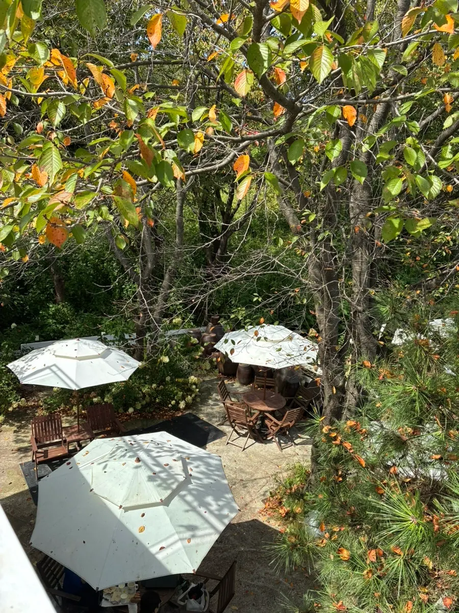 Baedagol Bakery House outdoor garden view