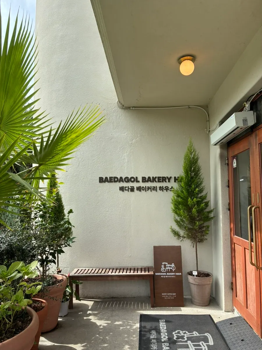 Walking path through the café's outdoor garden