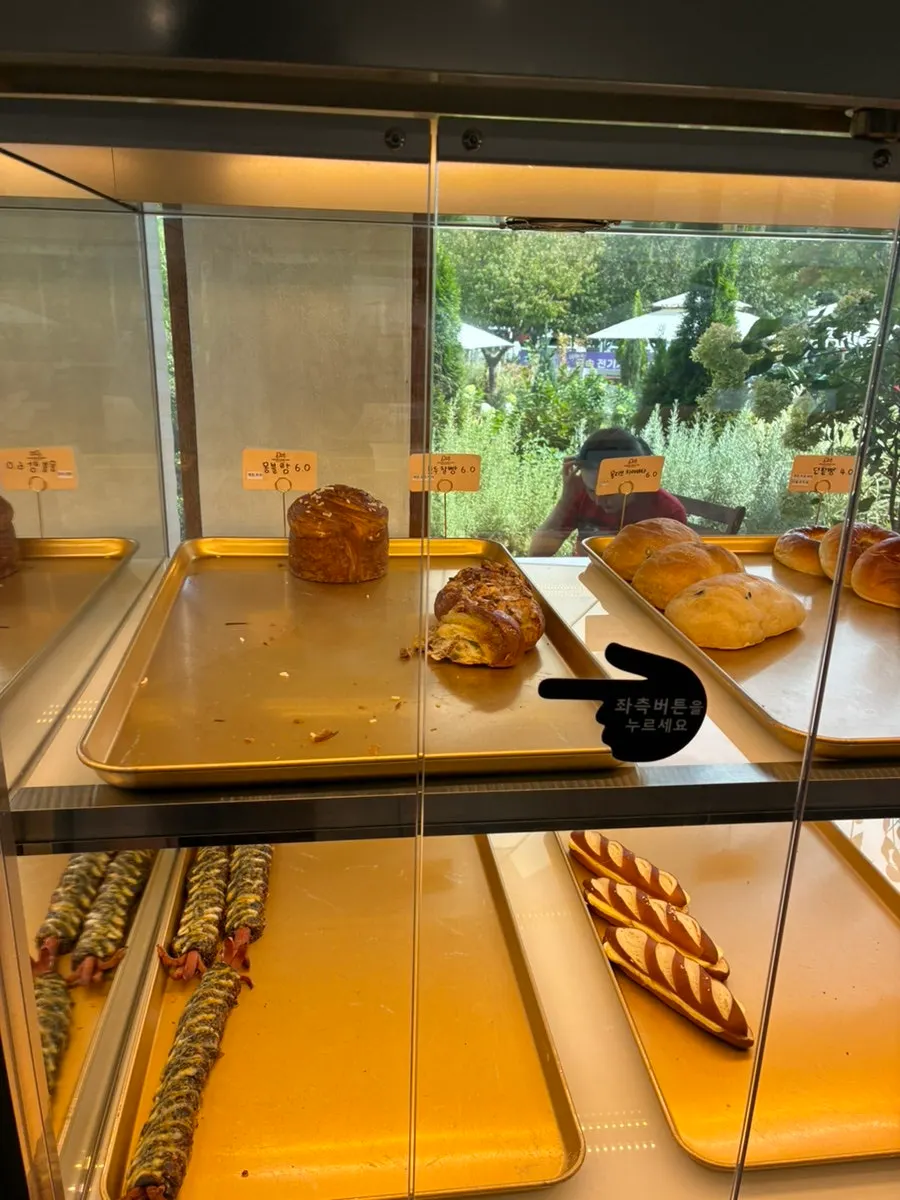 Slice cake display case