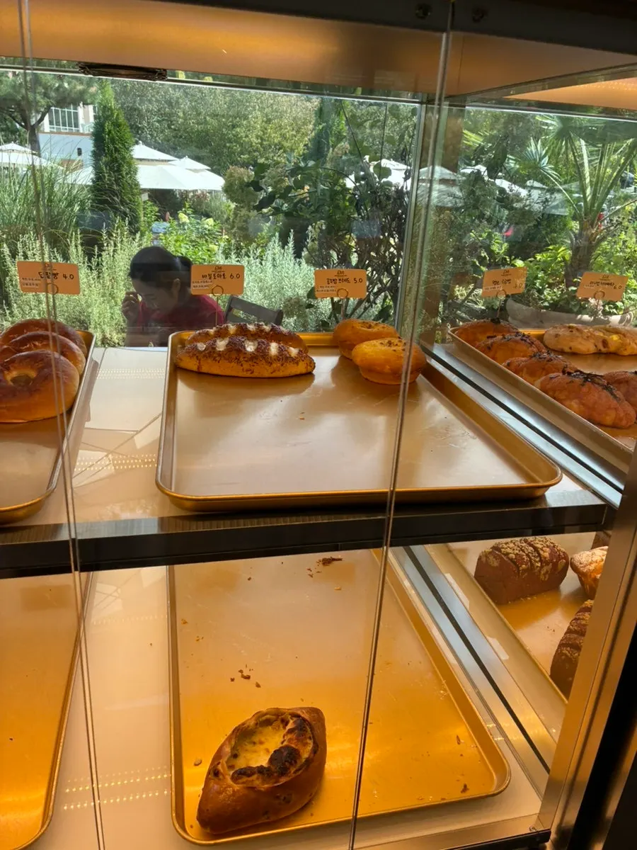 Cakes placed in the display case