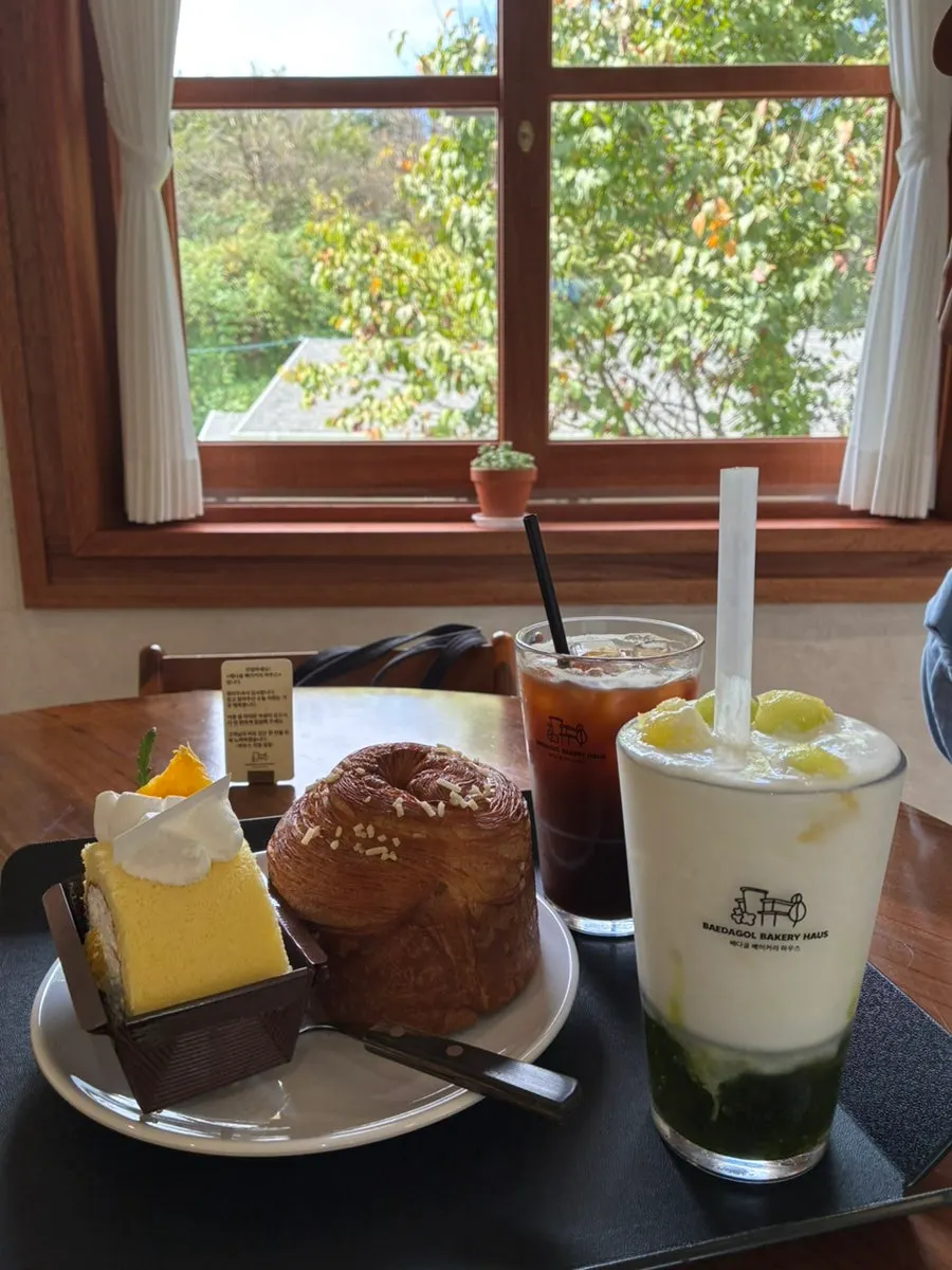 Hallabong roll cake and mont blanc