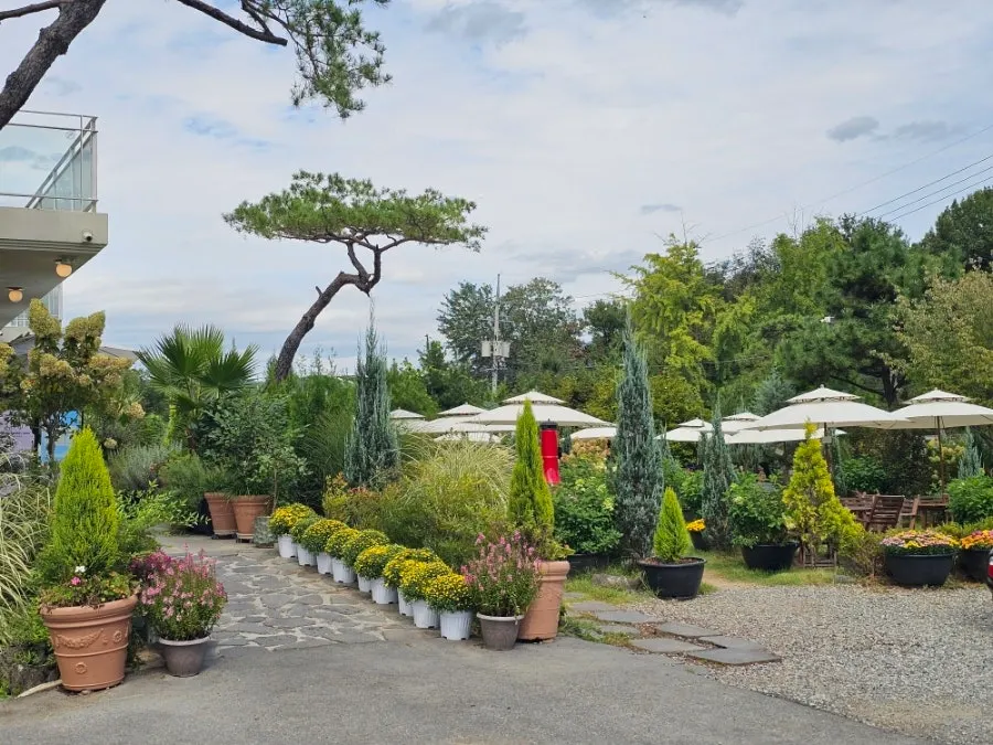 Garden around the Baedagol Bakery House café