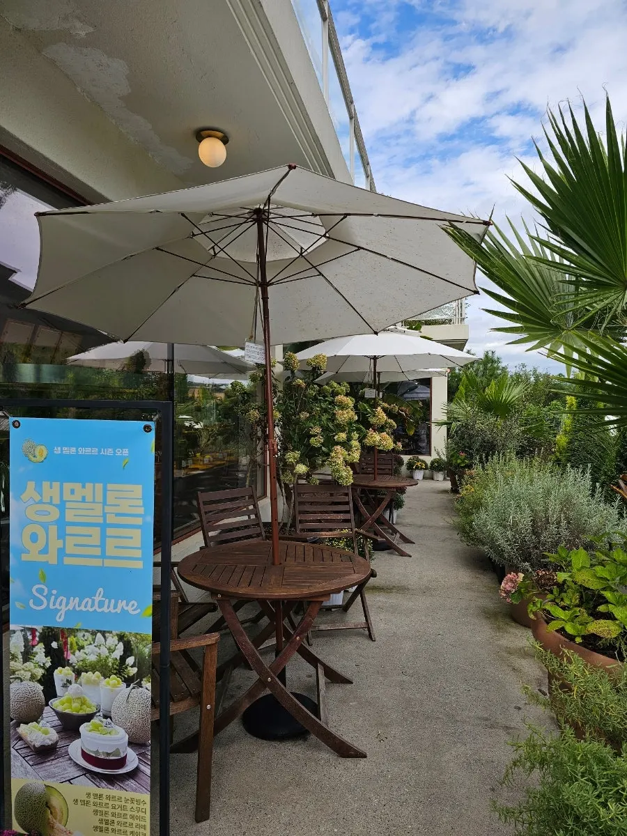 The beautifully arranged garden at Baedagol Bakery House