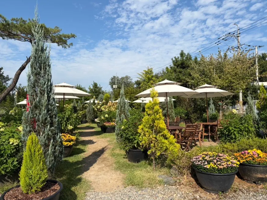 Outdoor seating set up in the garden